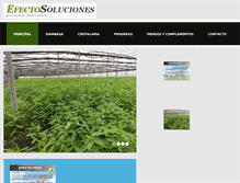 Tablet Screenshot of efectosoluciones.com